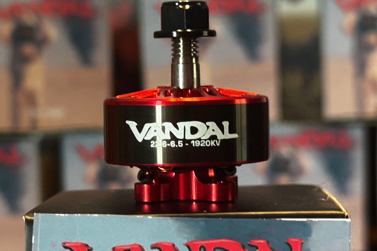 Vandal 2206.5 1920KV FPV motors by DamagD, featuring a Wasp Major core with custom KV and bell, built for high-performance freestyle flight
