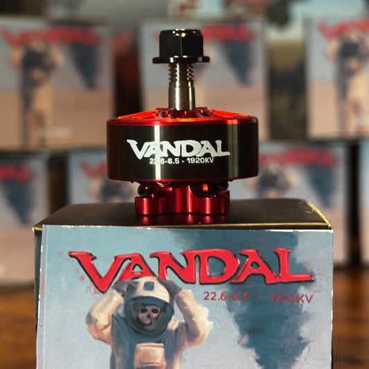 Vandal 2206.5 1920KV FPV motors by DamagD, featuring a Wasp Major core with custom KV and bell, built for high-performance freestyle flight built by RCINPOWER.